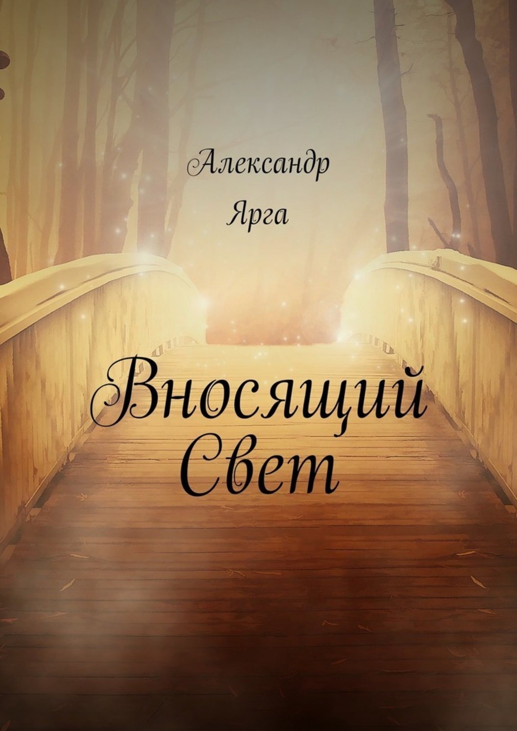 Обложка книги «Вносящий Свет»