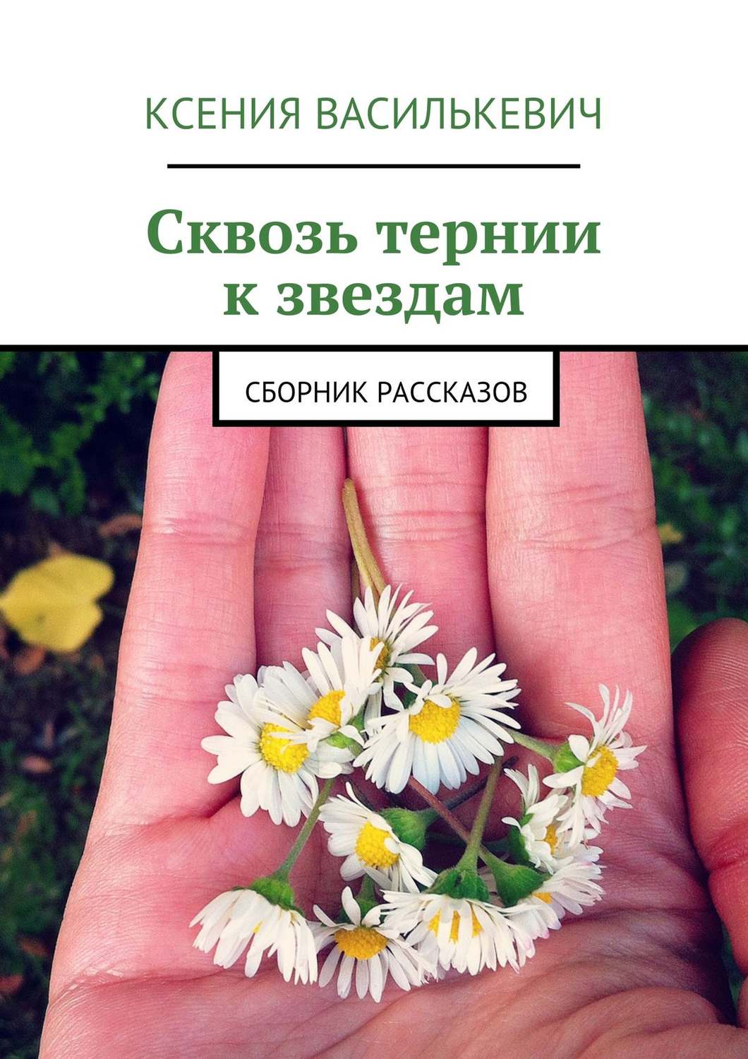 Обложка книги «Сквозь тернии к звездам»