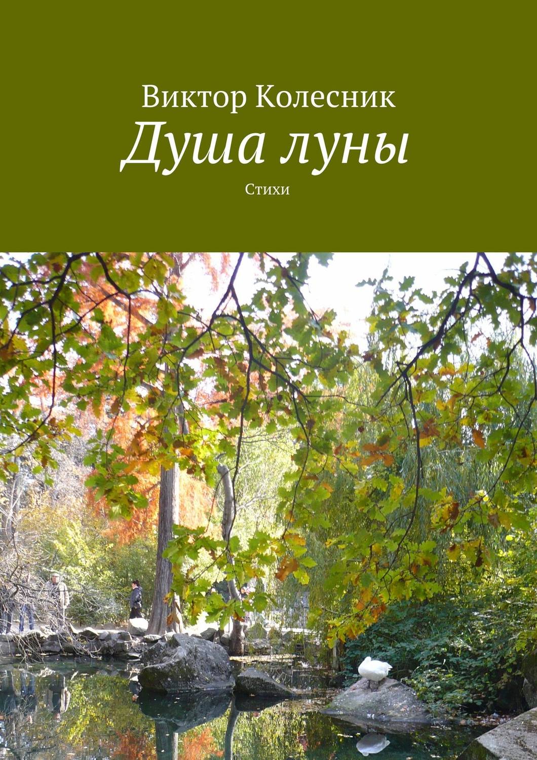 Обложка книги «Душа луны»