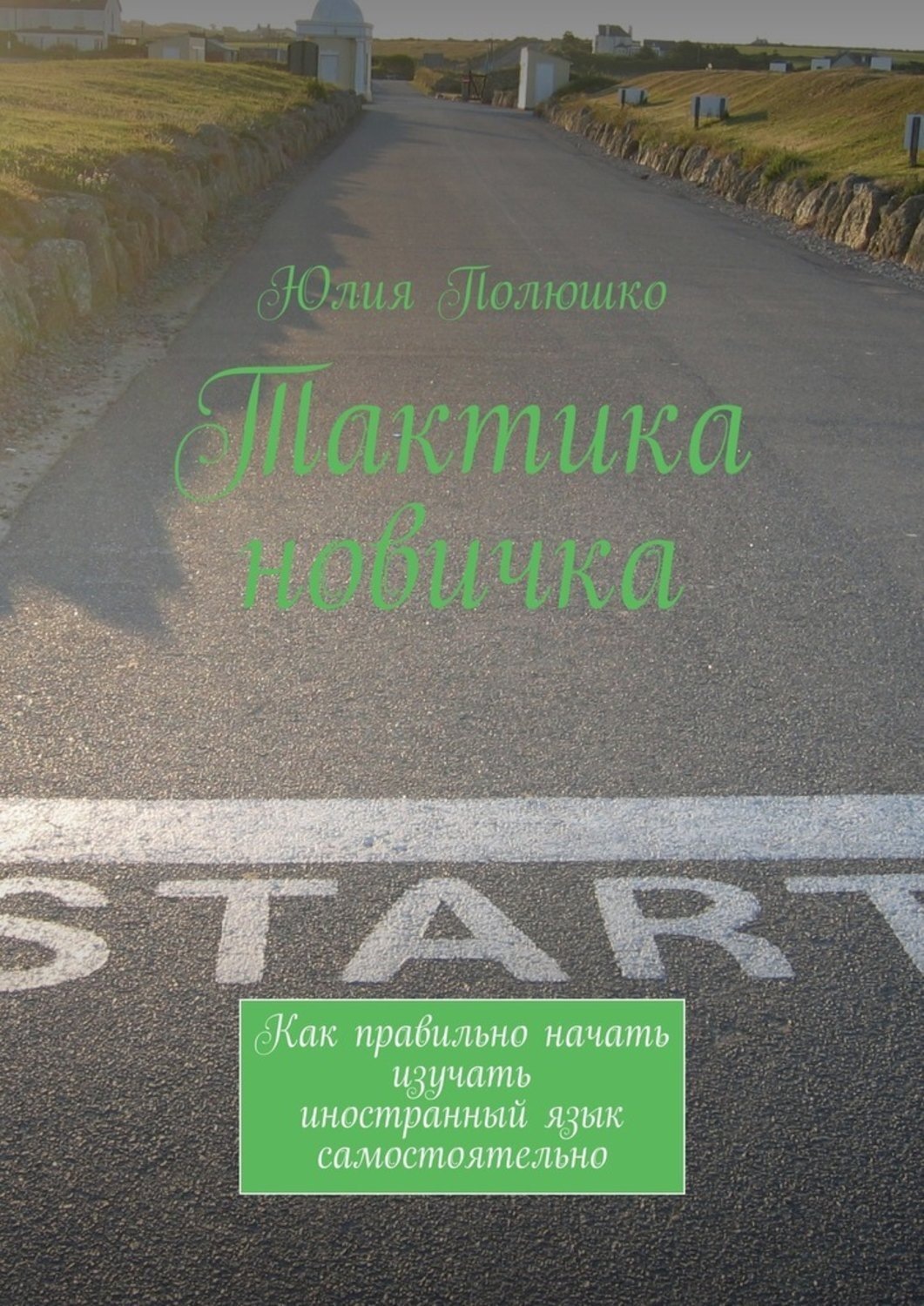 Обложка книги «Тактика новичка. Как правильно начать изучать иностранный язык самостоятельно»