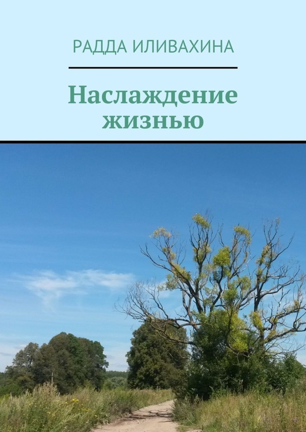 Обложка книги «Наслаждение жизнью»