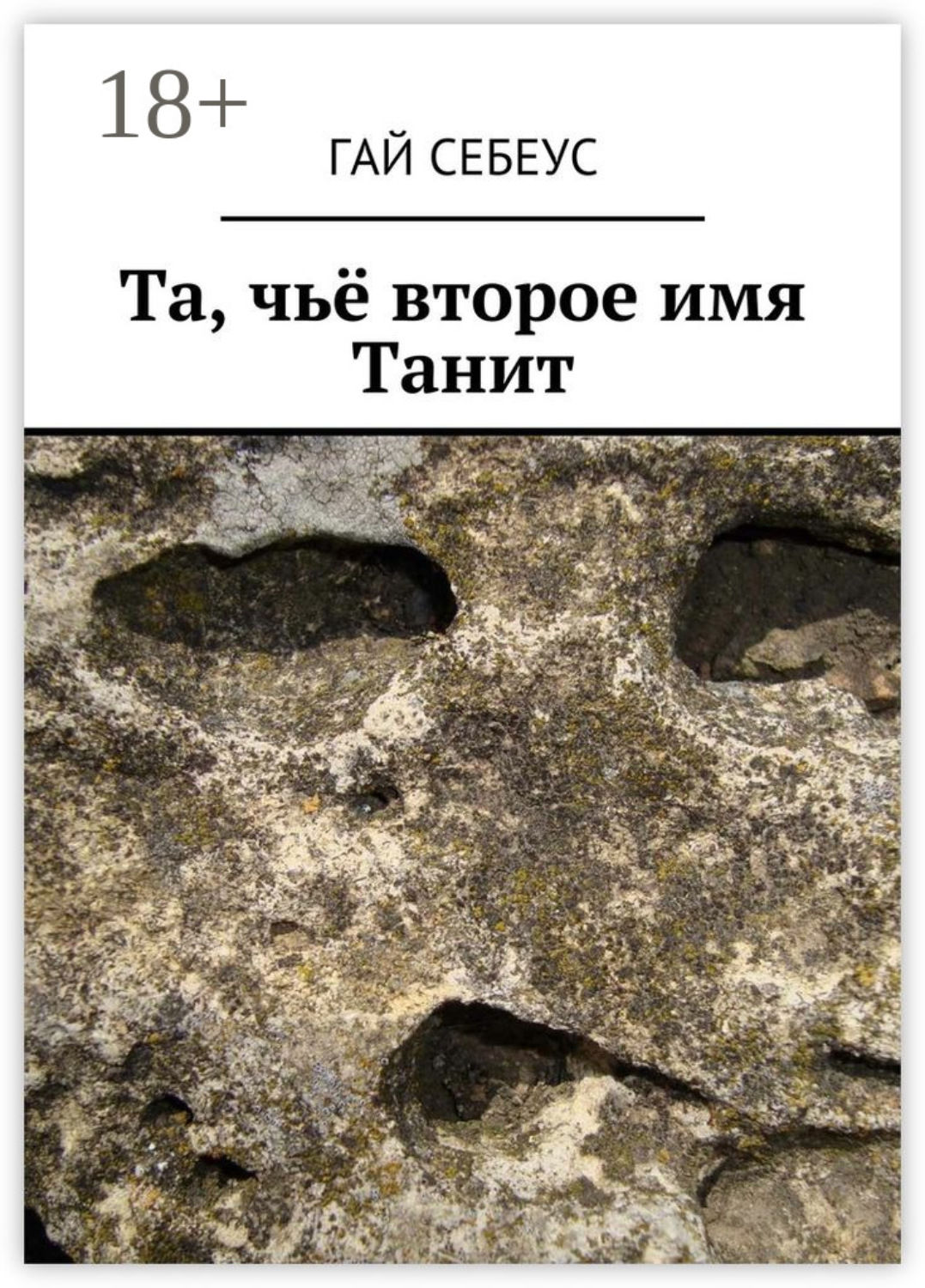 Обложка книги «Та, чьё второе имя Танит»