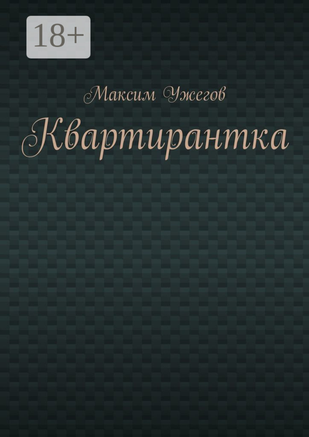 Обложка книги «Квартирантка»