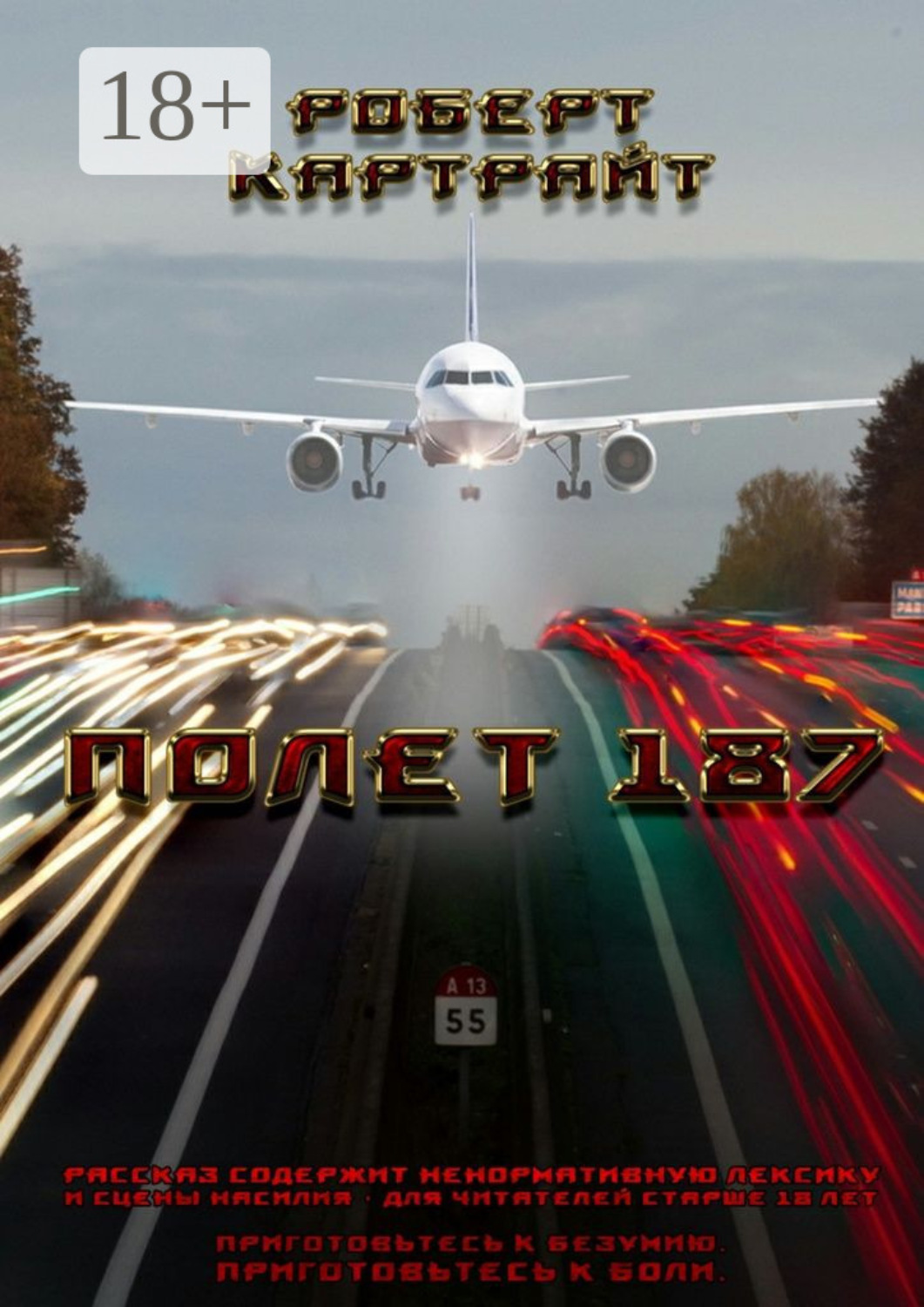 Обложка книги «Полёт 187. Из цикла рассказов «Приготовьтесь к безумию. Приготовьтесь к боли»»