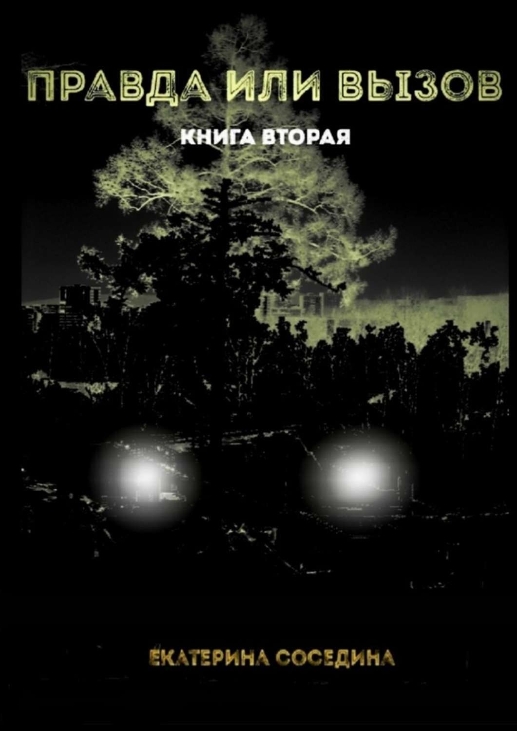 Обложка книги «Правда или Вызов. Книга вторая»