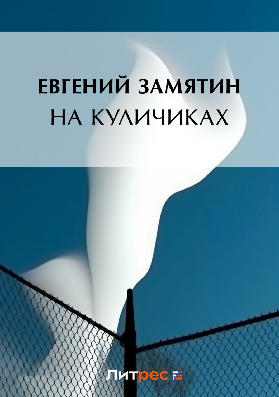 Обложка книги «На куличках»