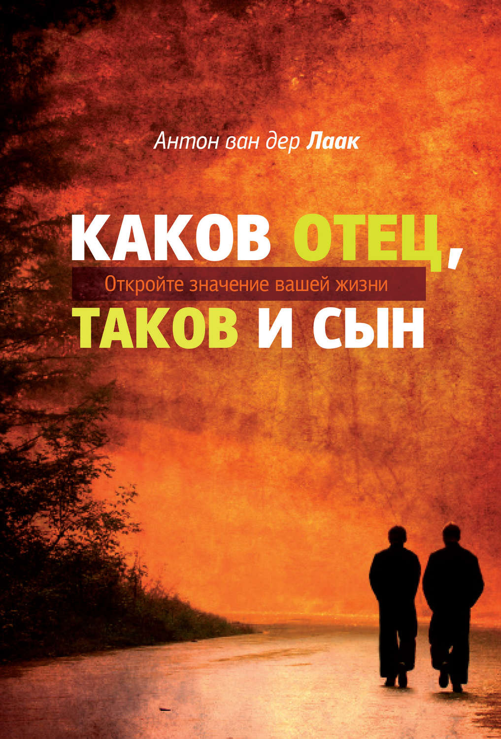 Обложка книги «Каков Отец, таков и сын. Откройте значение вашей жизни»