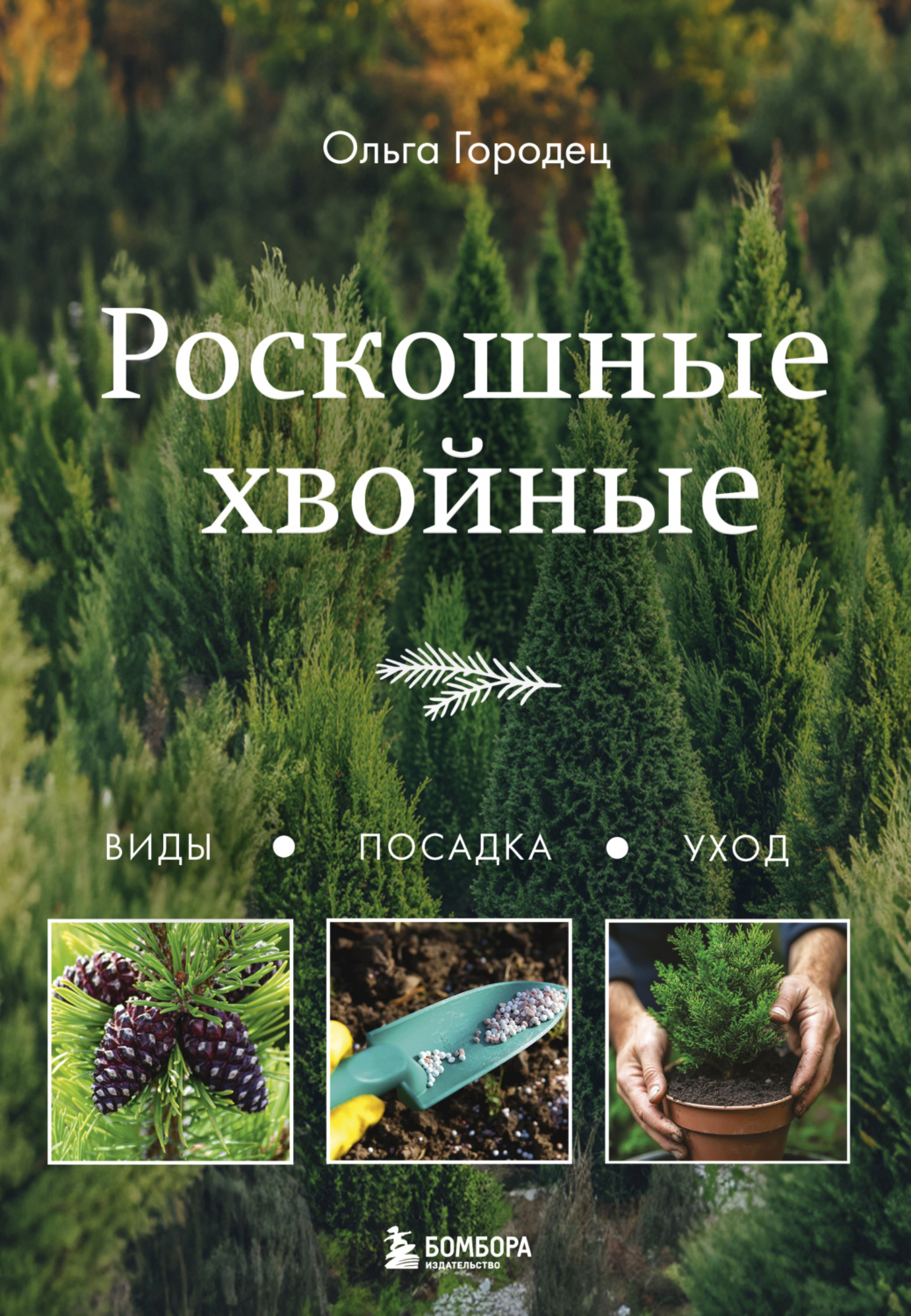 Обложка книги «Роскошные хвойные. Виды, посадка, уход»