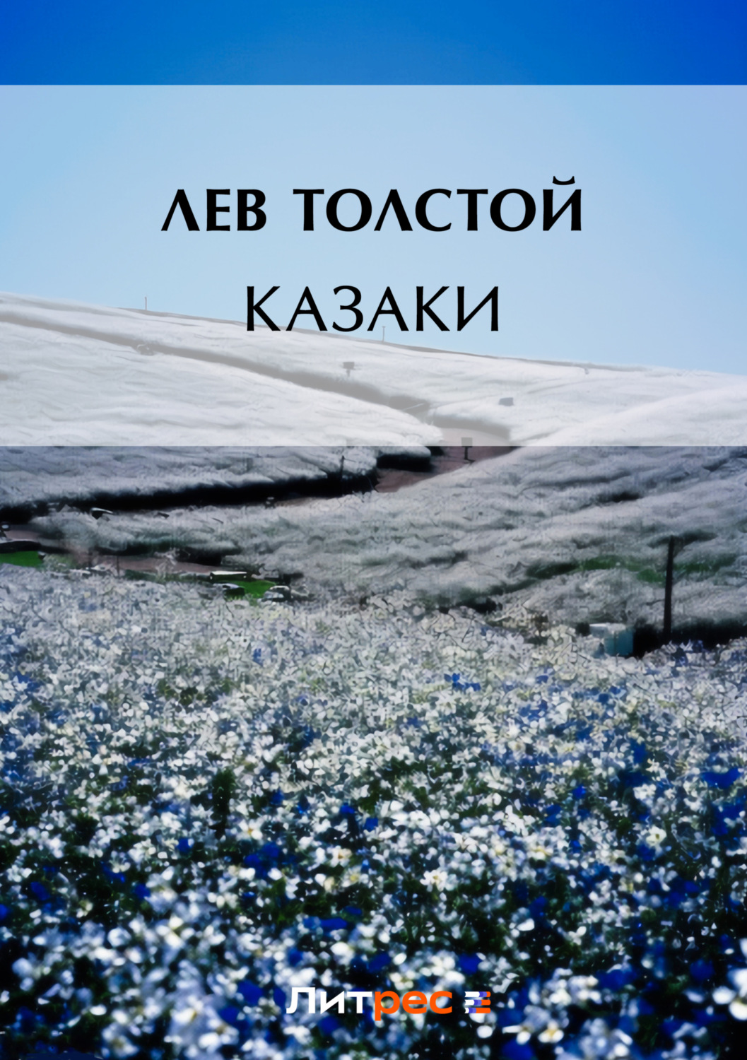 Обложка книги «Казаки»