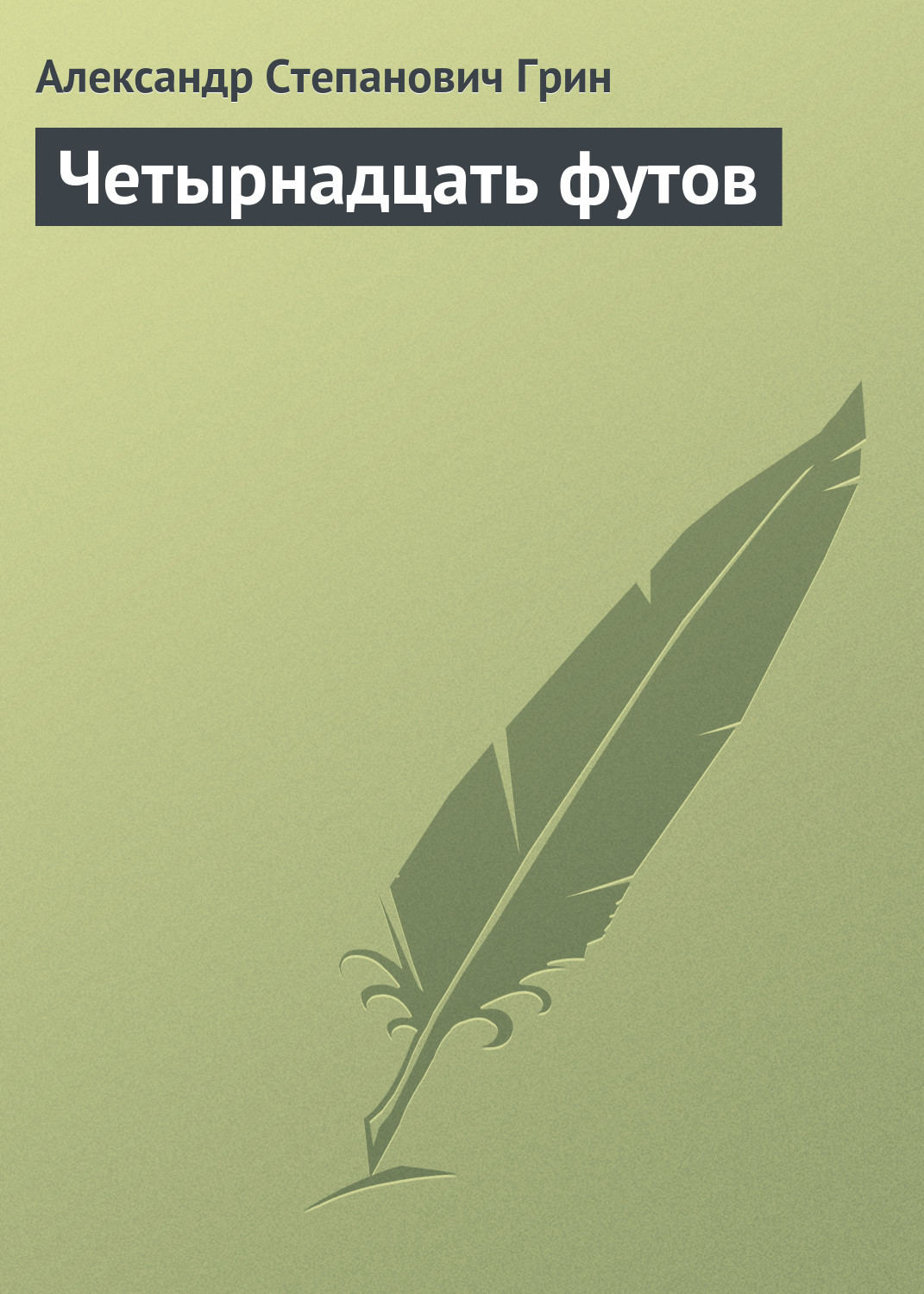 Обложка книги «Четырнадцать футов»