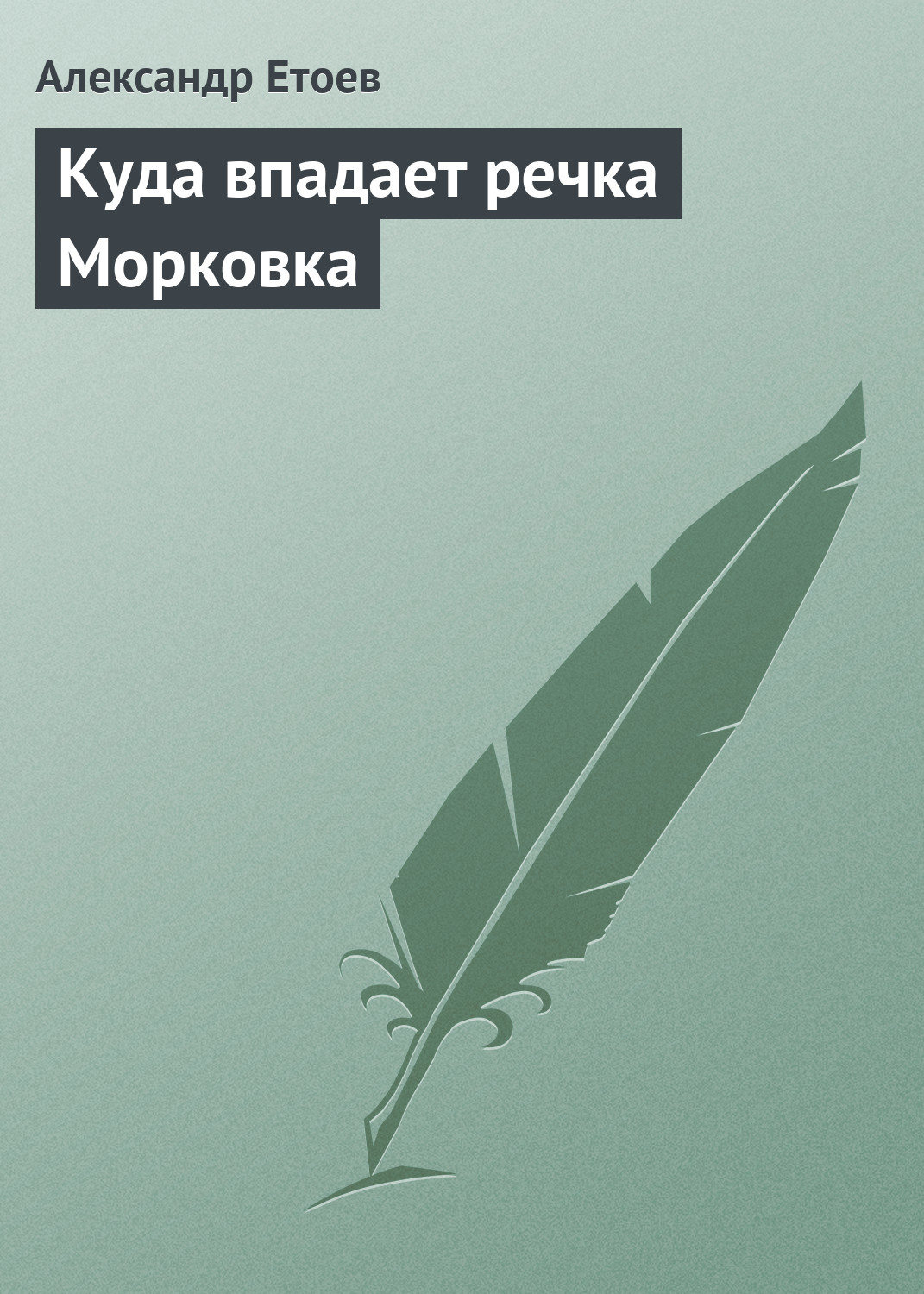 Обложка книги «Куда впадает речка Морковка»