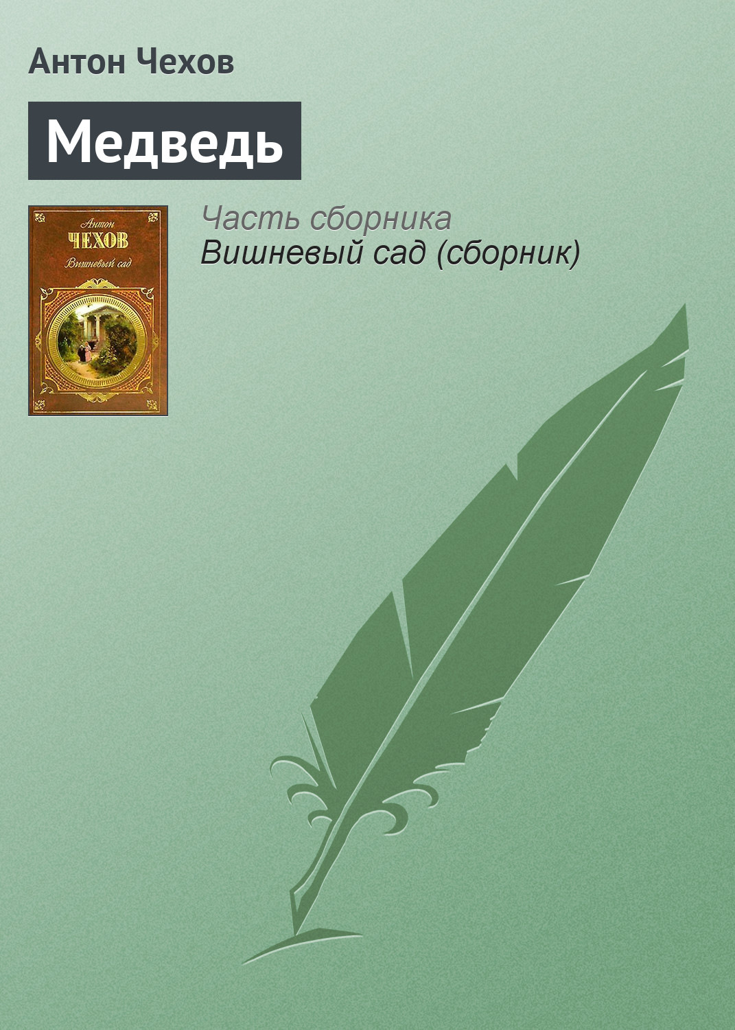 Обложка книги «Медведь»