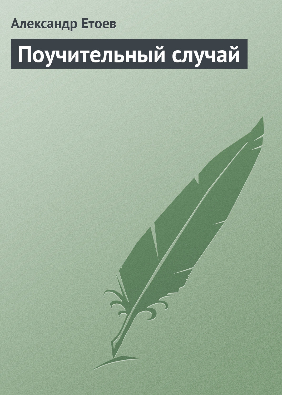 Обложка книги «Поучительный случай»