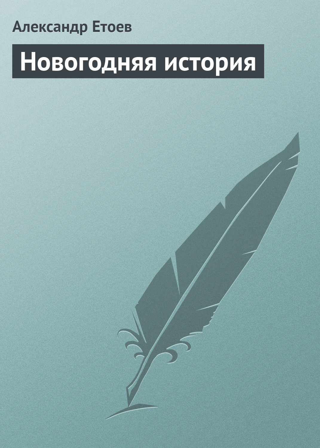 Обложка книги «Новогодняя история»