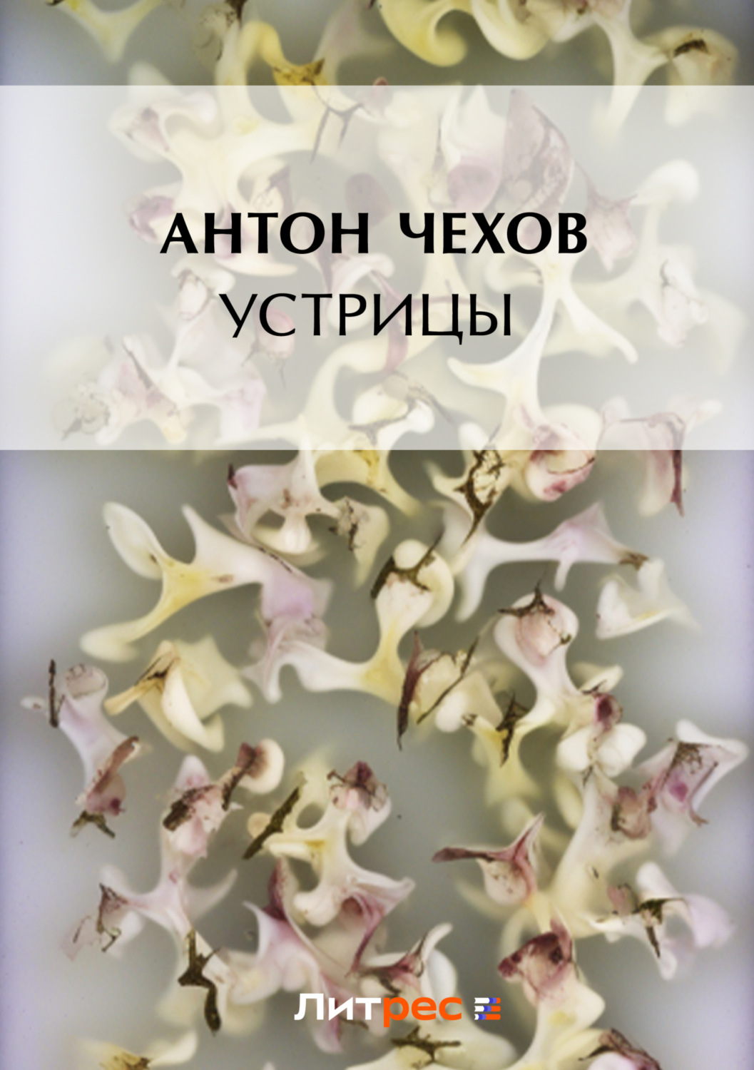 Обложка книги «Устрицы»