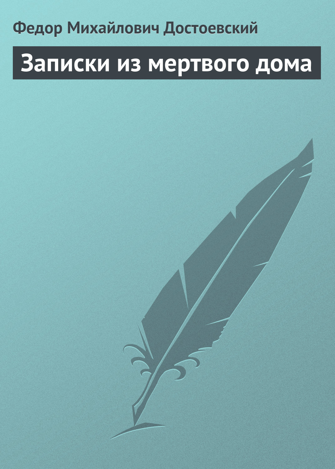 Обложка книги «Записки из мертвого дома»