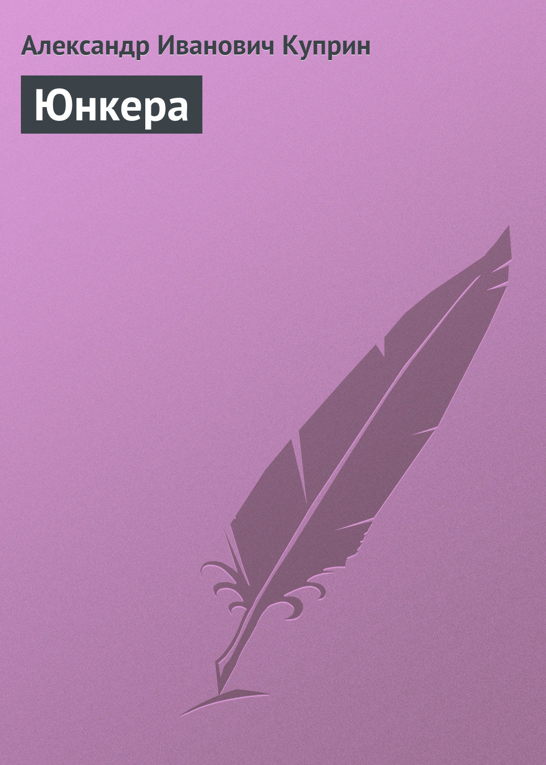 Обложка книги «Юнкера»