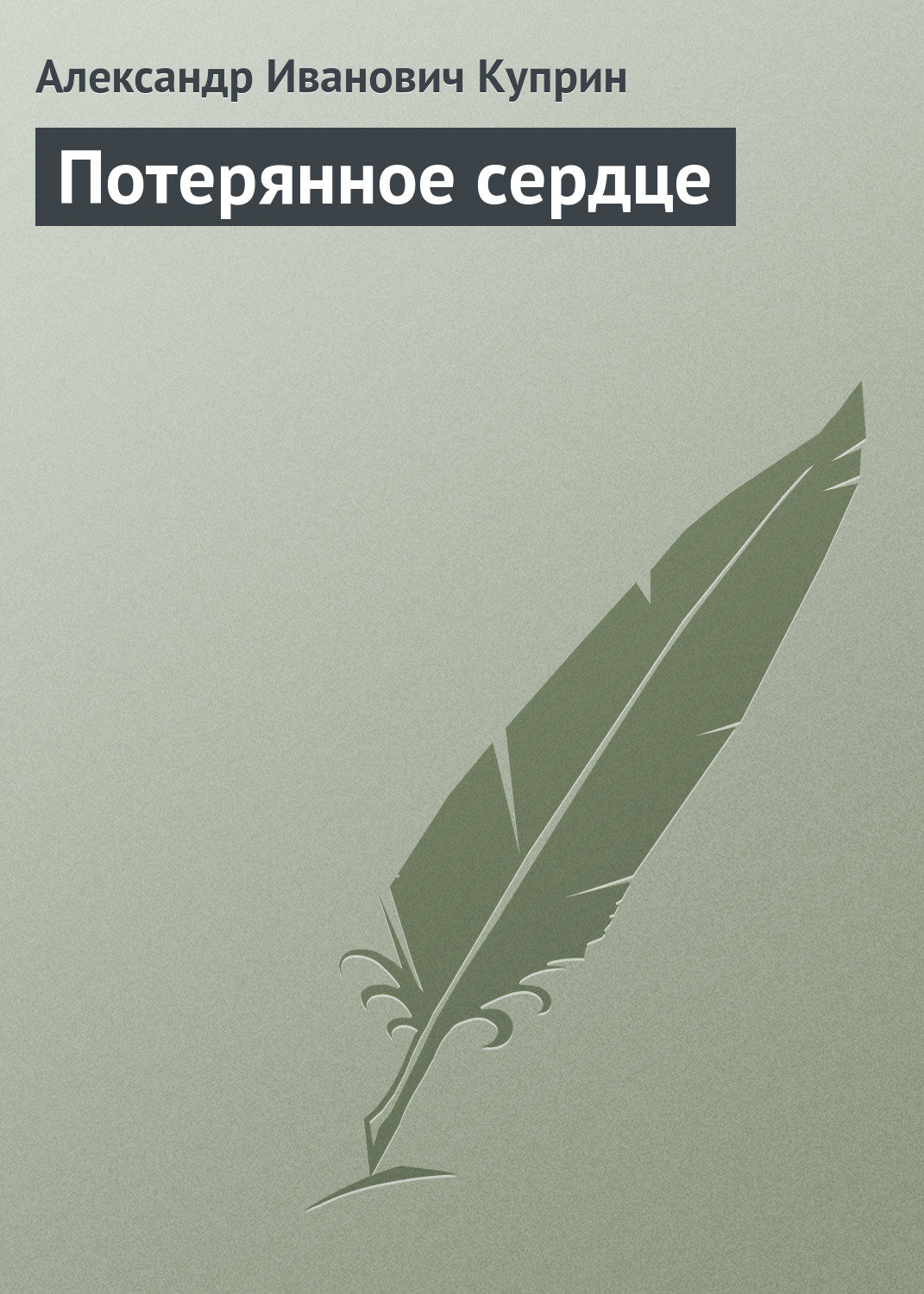 Обложка книги «Потерянное сердце»