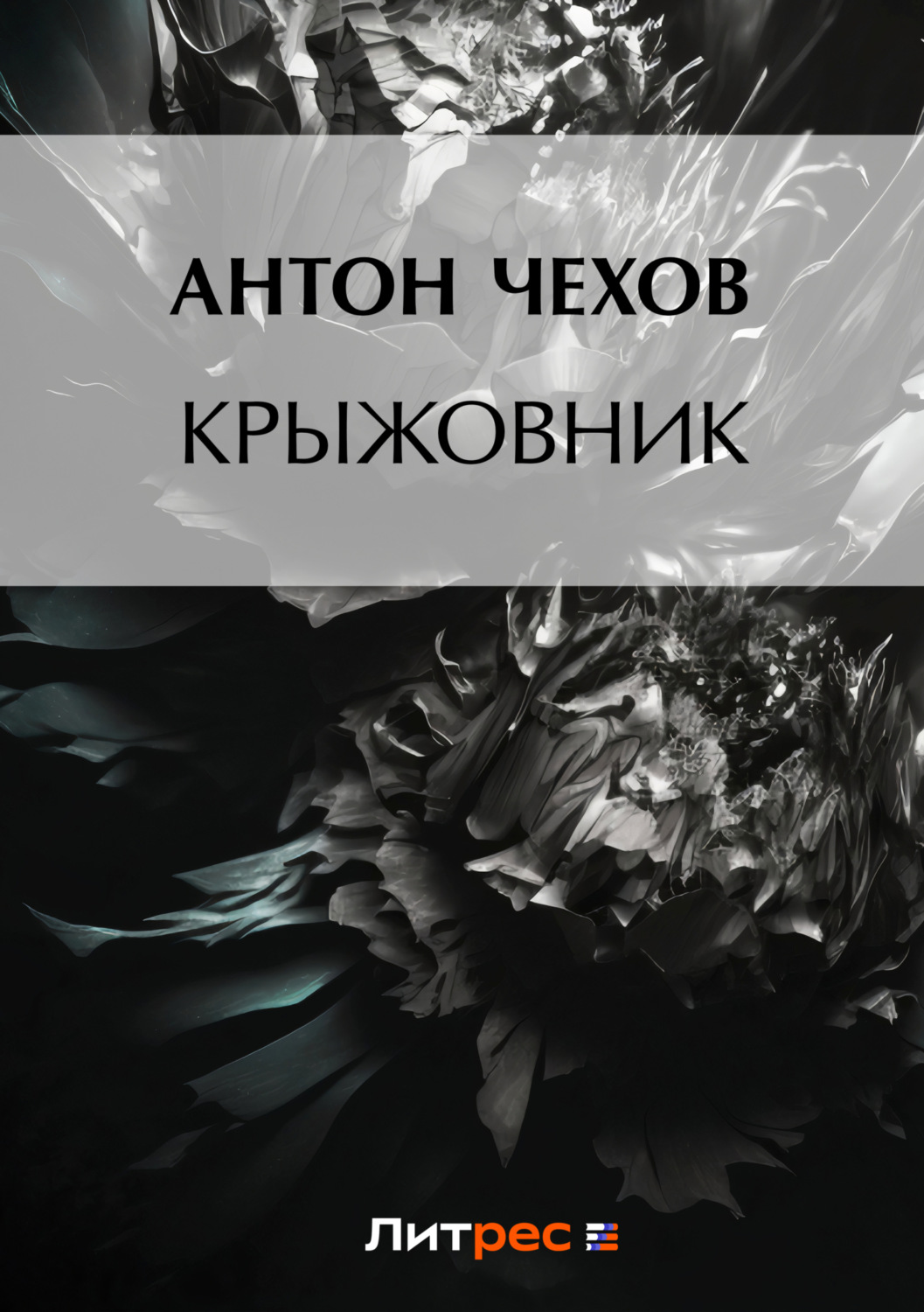 Обложка книги «Крыжовник»