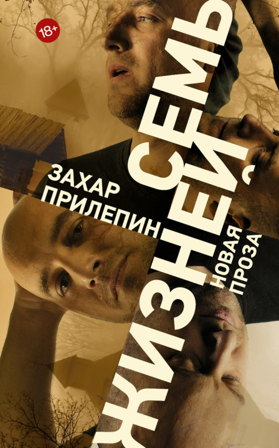 Обложка книги «Семь жизней (сборник)»