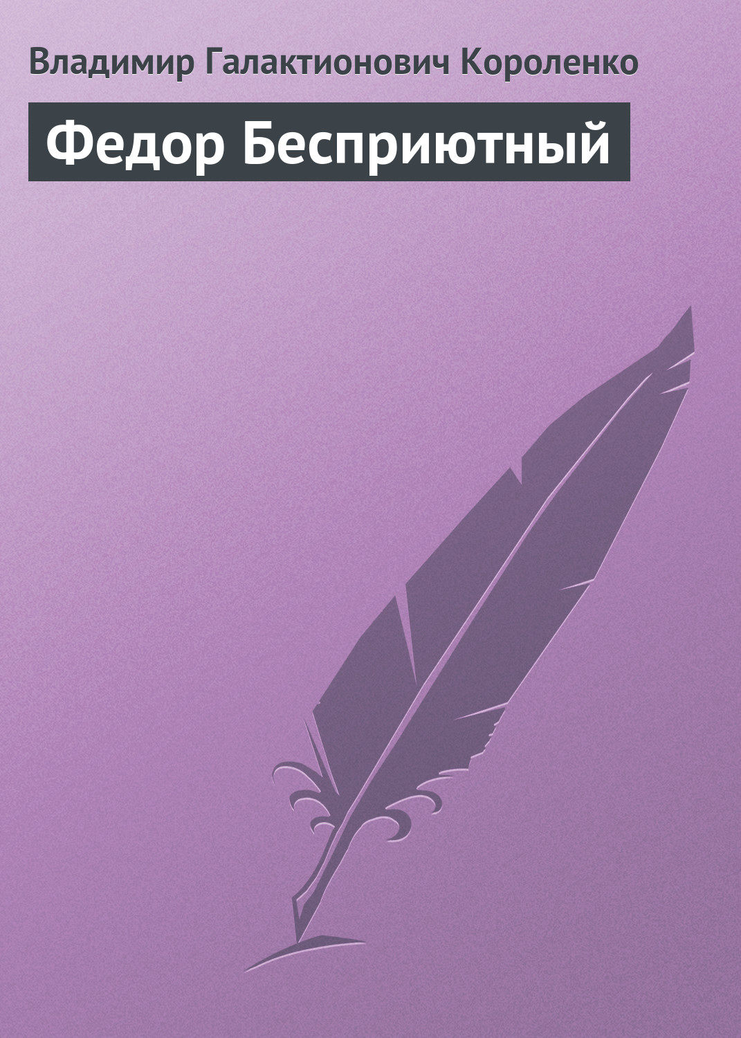 Обложка книги «Федор Бесприютный»