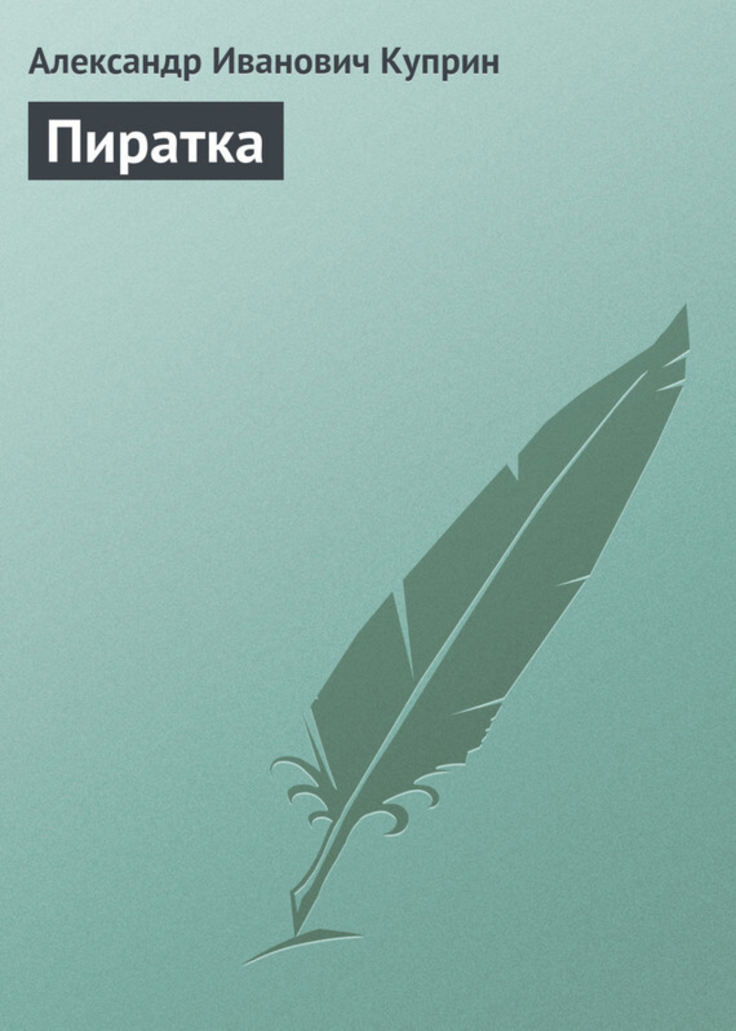 Обложка книги «Пиратка»