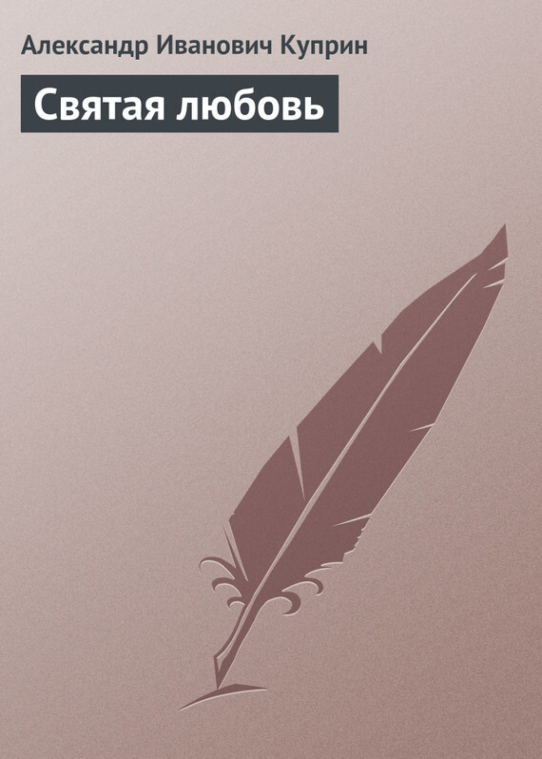 Обложка книги «Святая любовь»