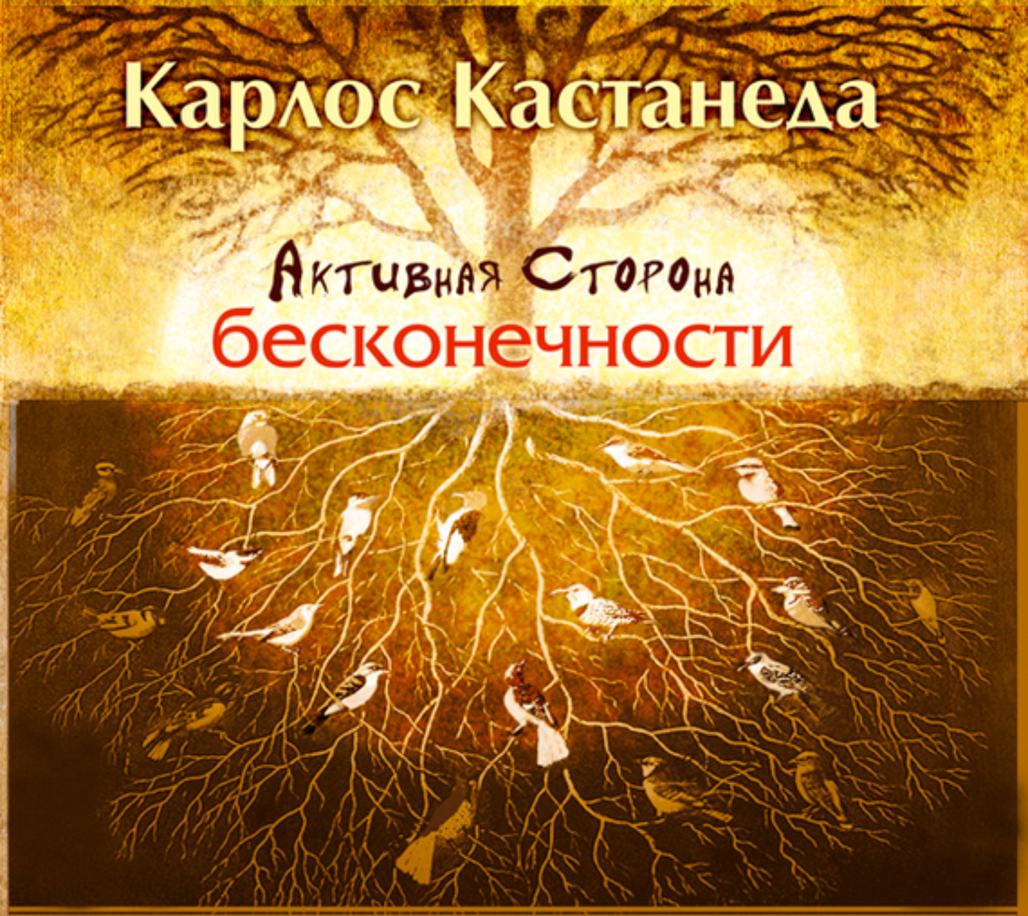 Обложка книги «Активная сторона бесконечности»