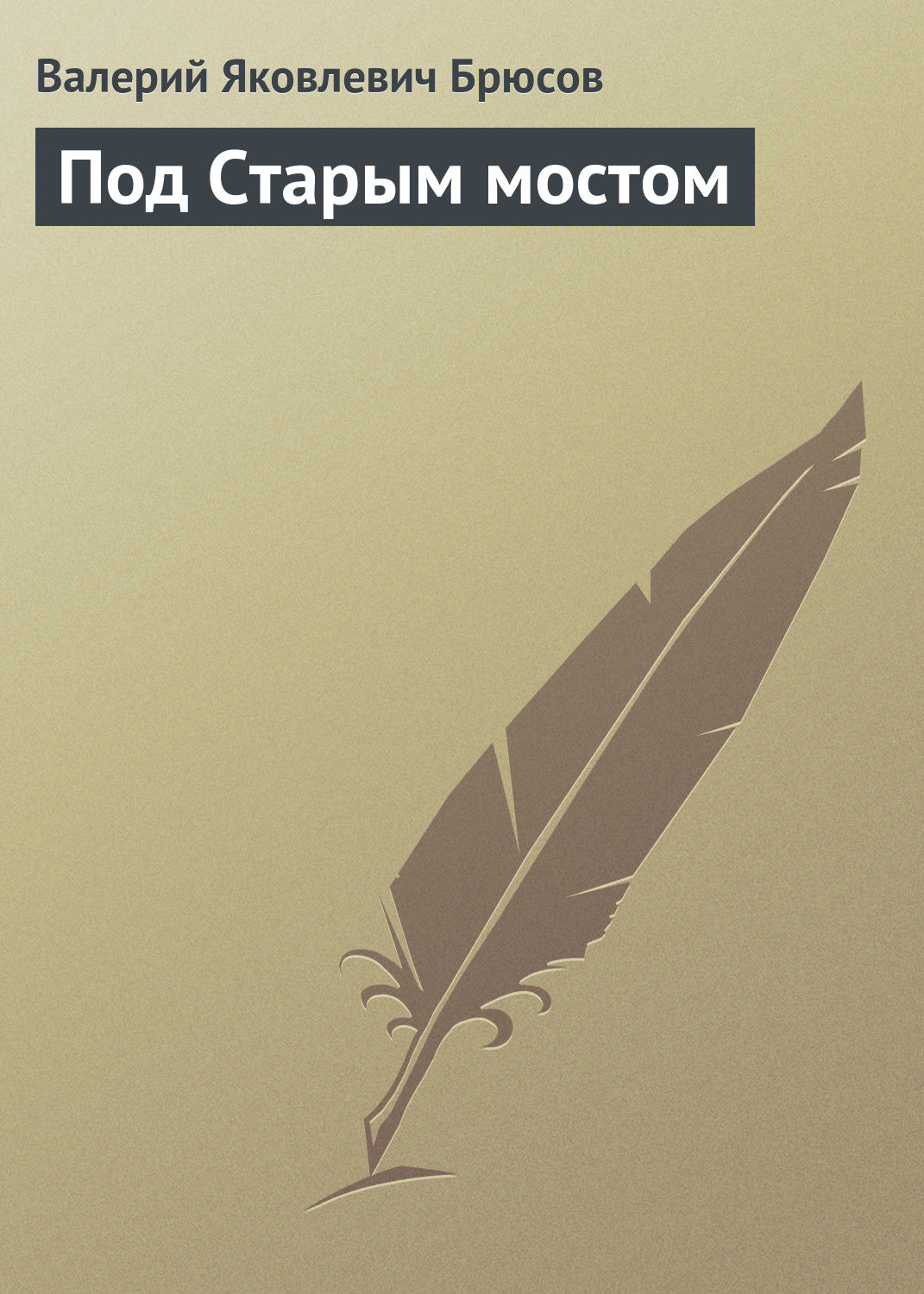 Обложка книги «Под Старым мостом»