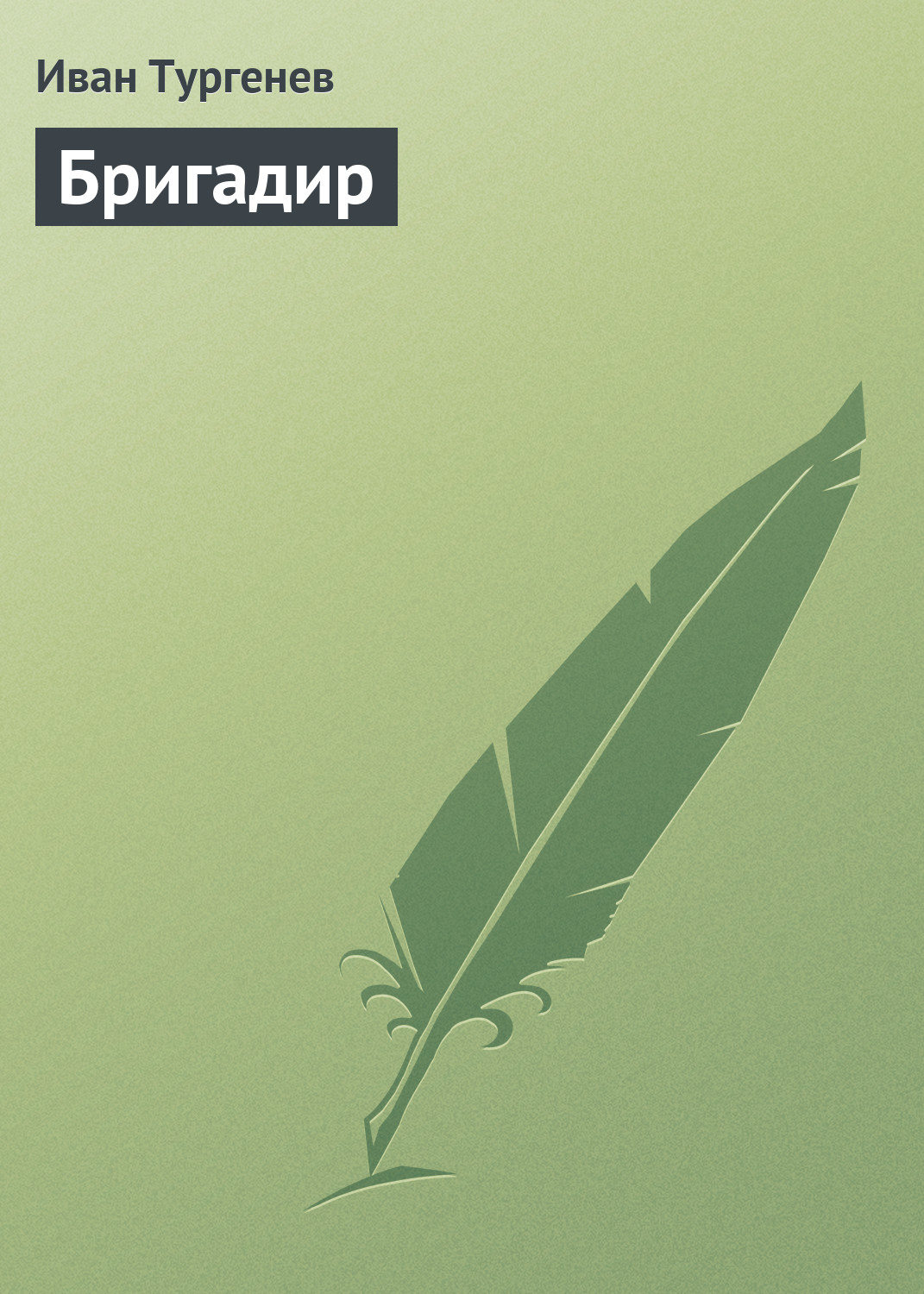 Обложка книги «Бригадир»