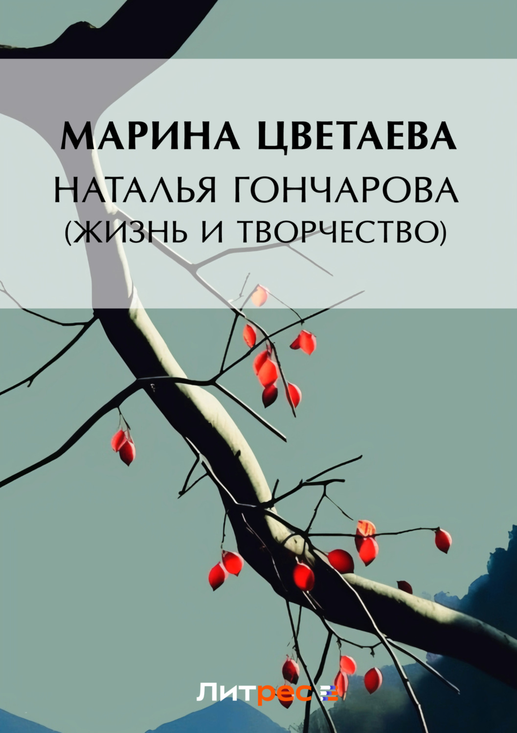 Обложка книги «Наталья Гончарова (жизнь и творчество)»