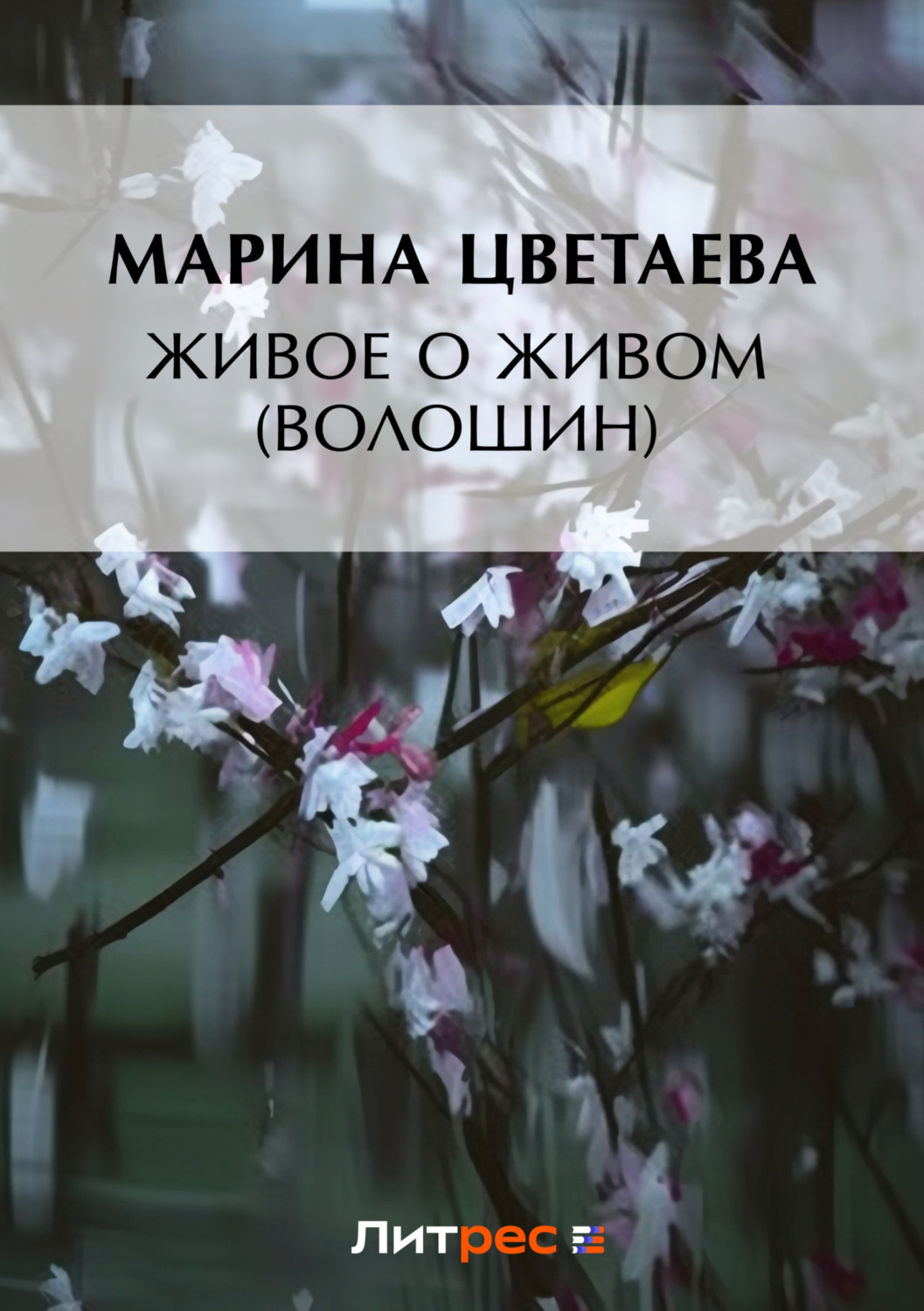 Обложка книги «Живое о живом (Волошин)»
