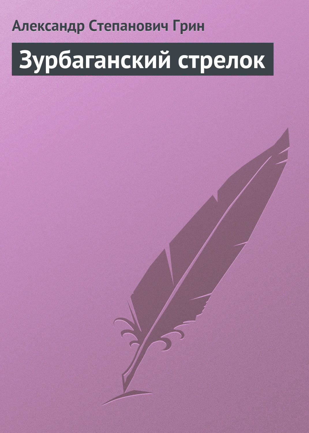 Обложка книги «Зурбаганский стрелок»