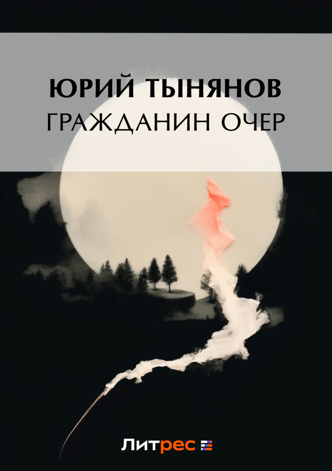Обложка книги «Гражданин Очер»