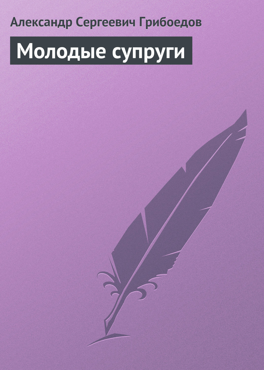 Обложка книги «Молодые супруги»