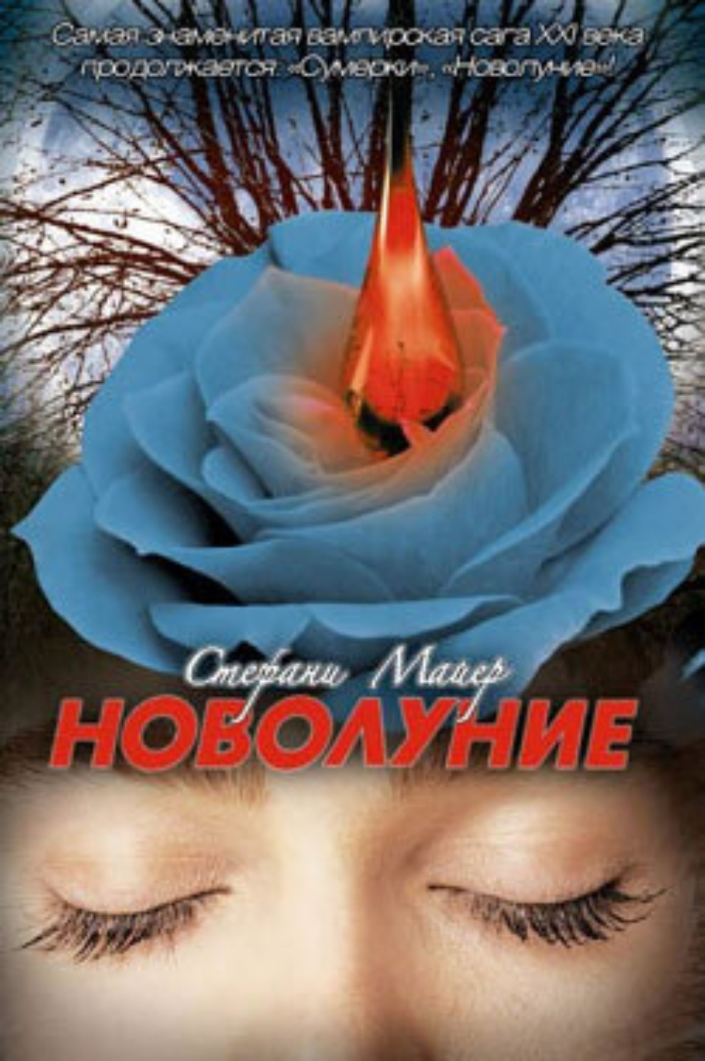 Обложка книги «Новолуние»