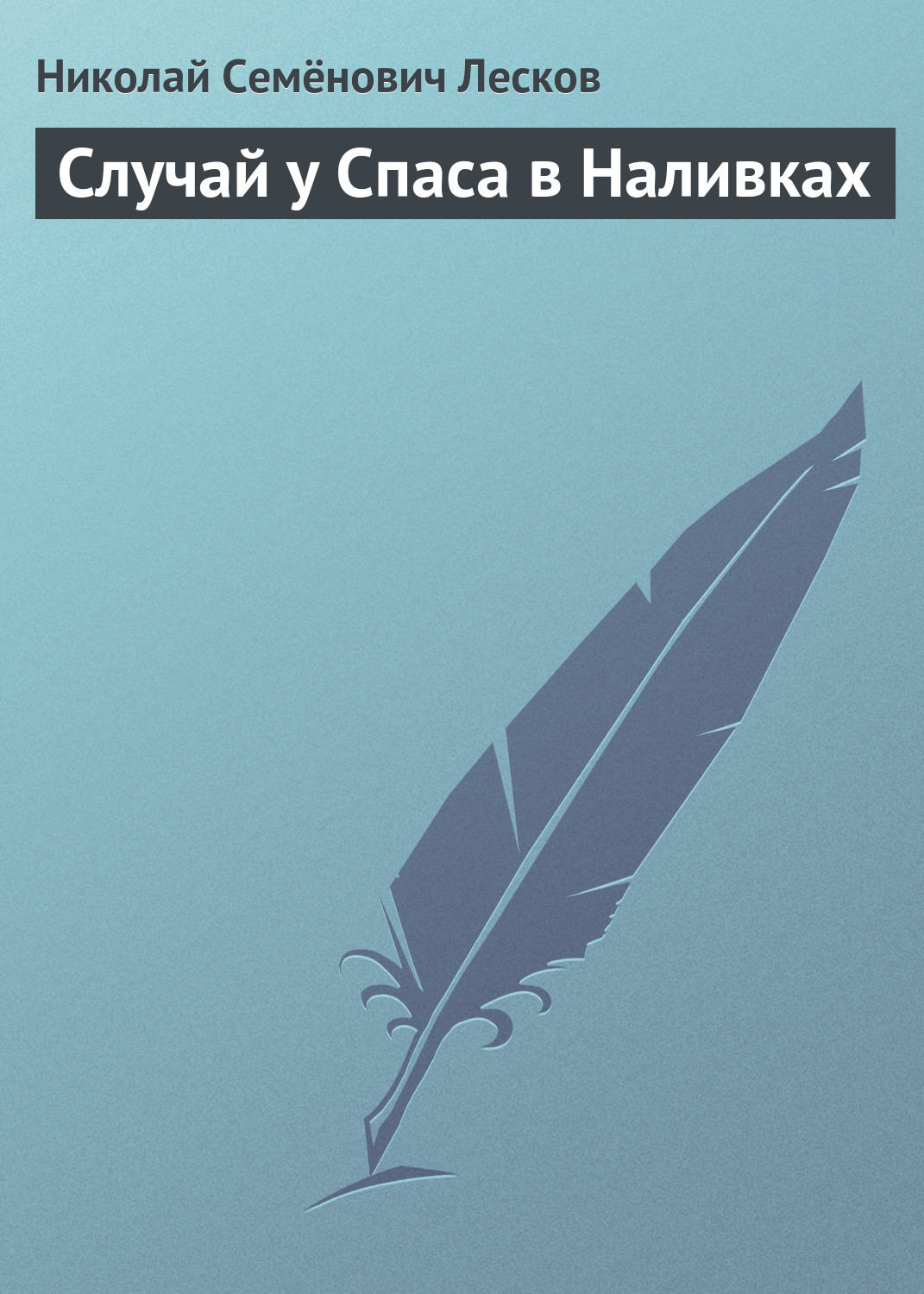 Обложка книги «Случай у Спаса в Наливках»