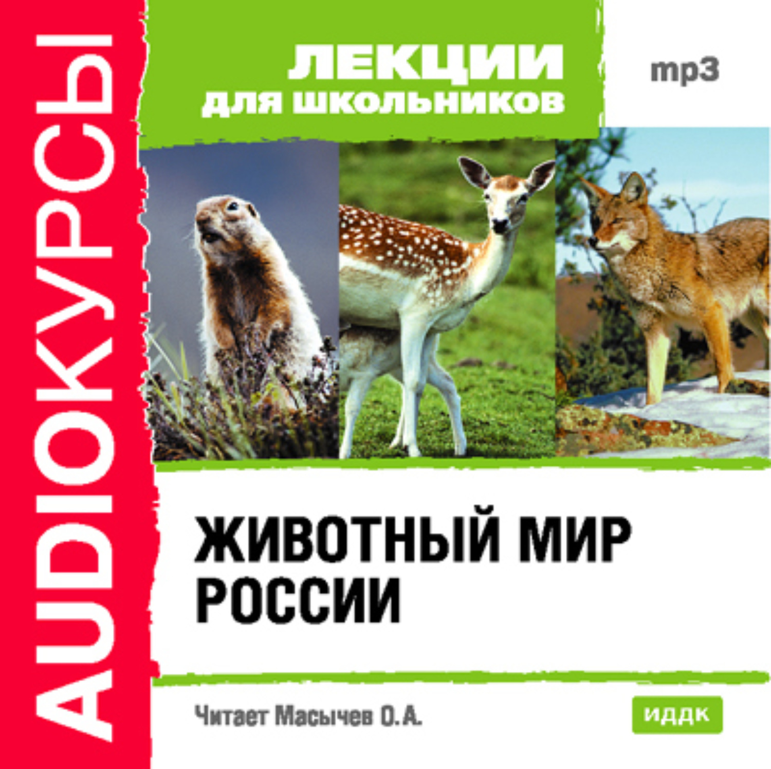 Обложка книги «Животный мир России»