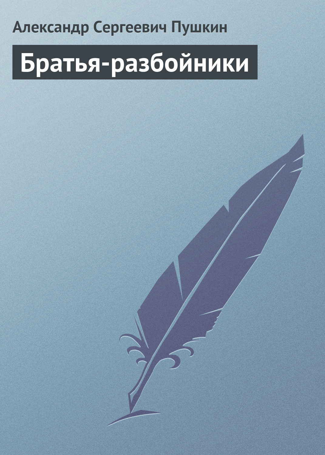Обложка книги «Братья-разбойники»