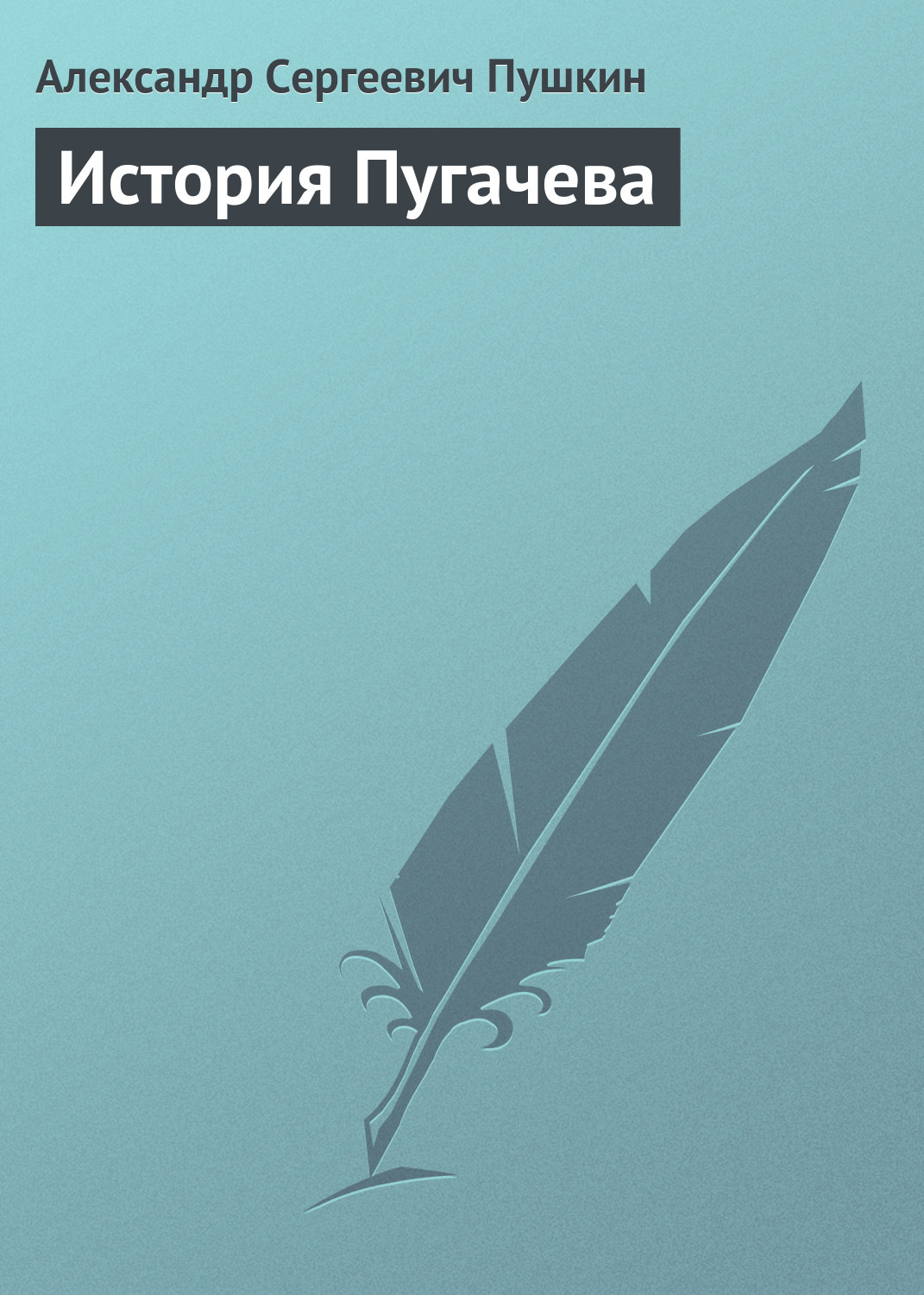 Обложка книги «История Пугачева»