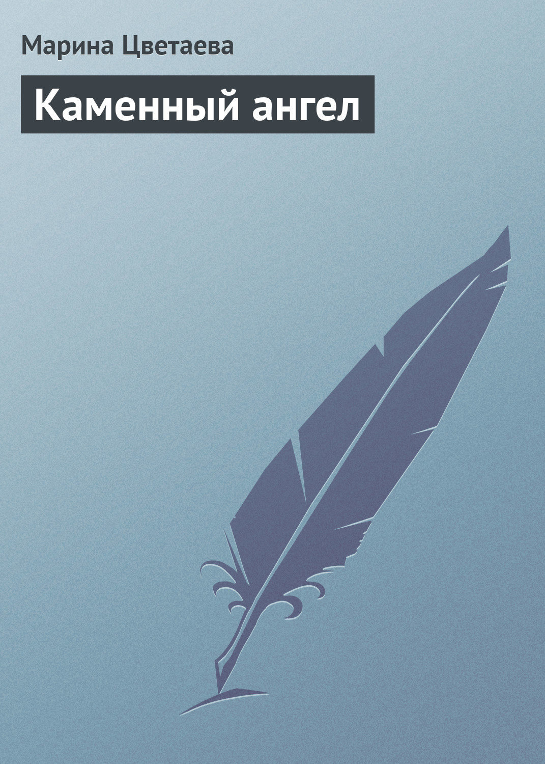 Обложка книги «Каменный ангел»