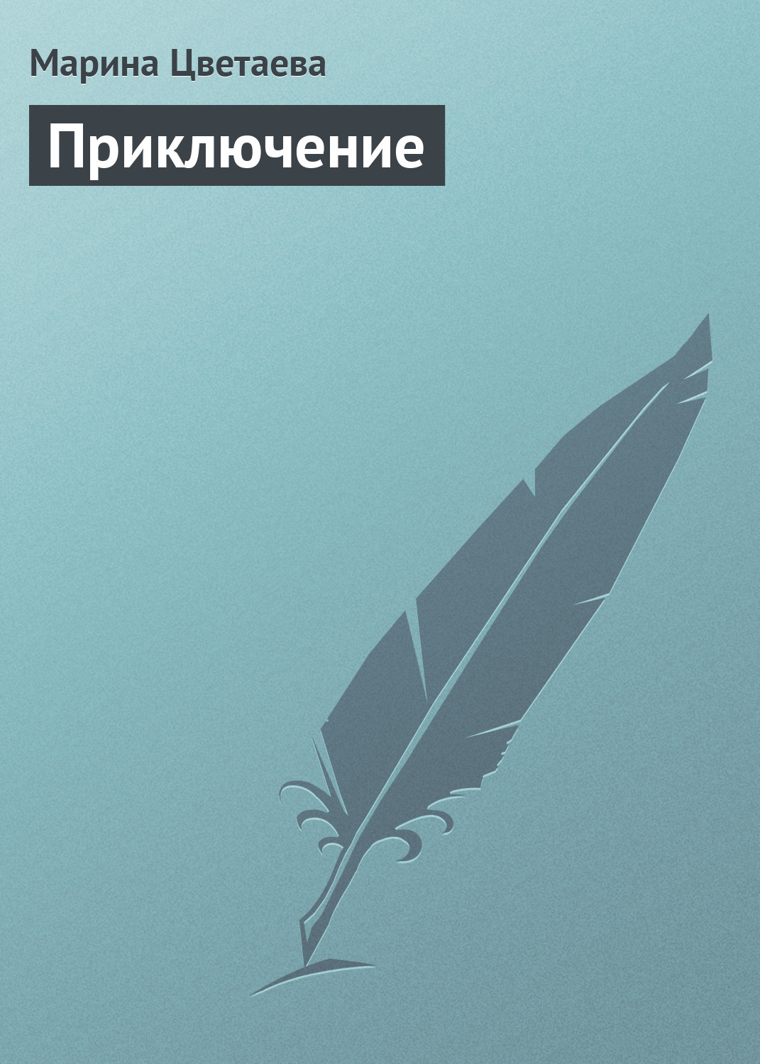 Обложка книги «Приключение»