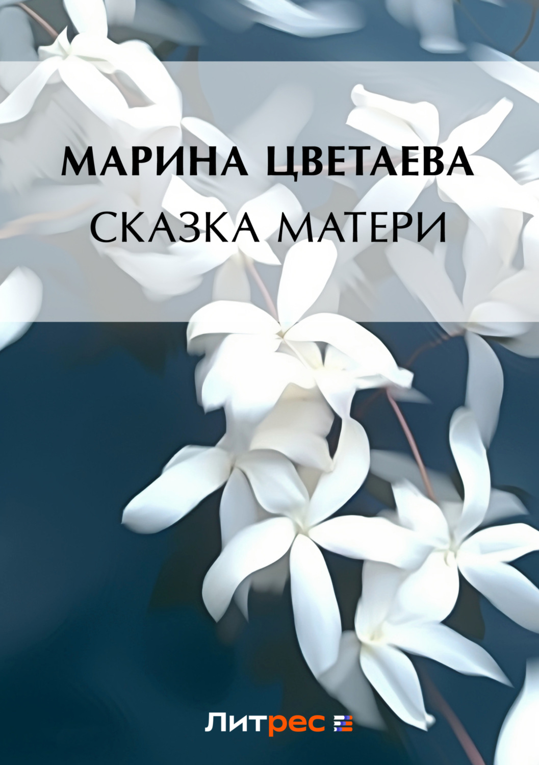 Обложка книги «Сказка матери»