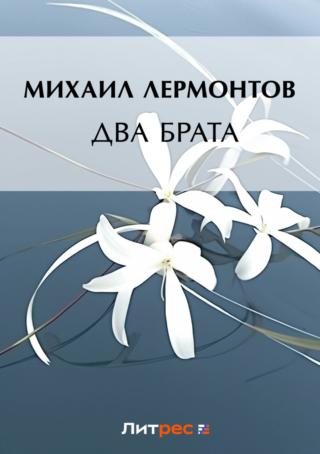 Обложка книги «Два брата»