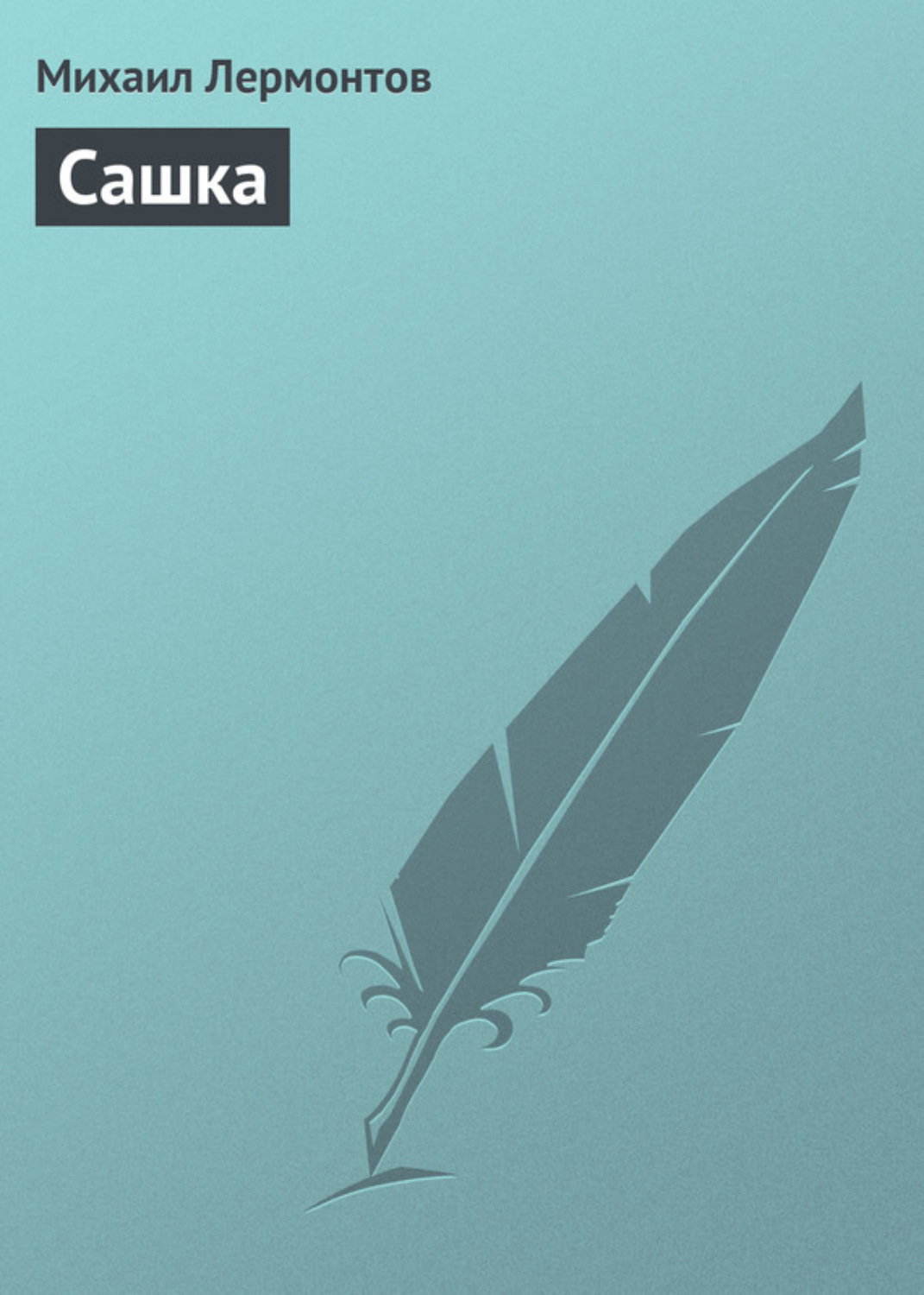 Обложка книги «Сашка»