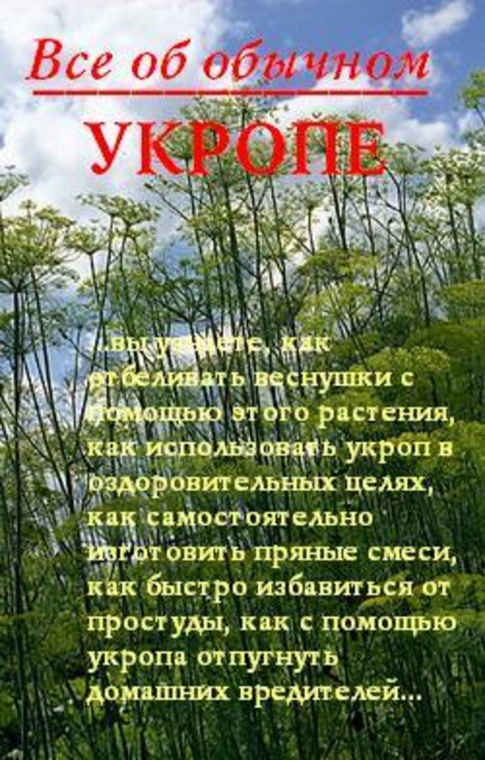 Обложка книги «Все об обычном укропе»