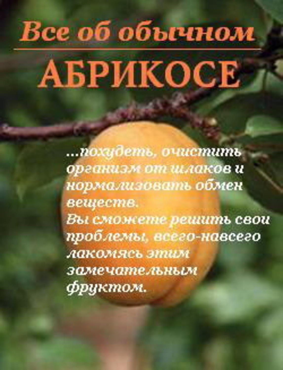 Обложка книги «Все об обычном абрикосе»