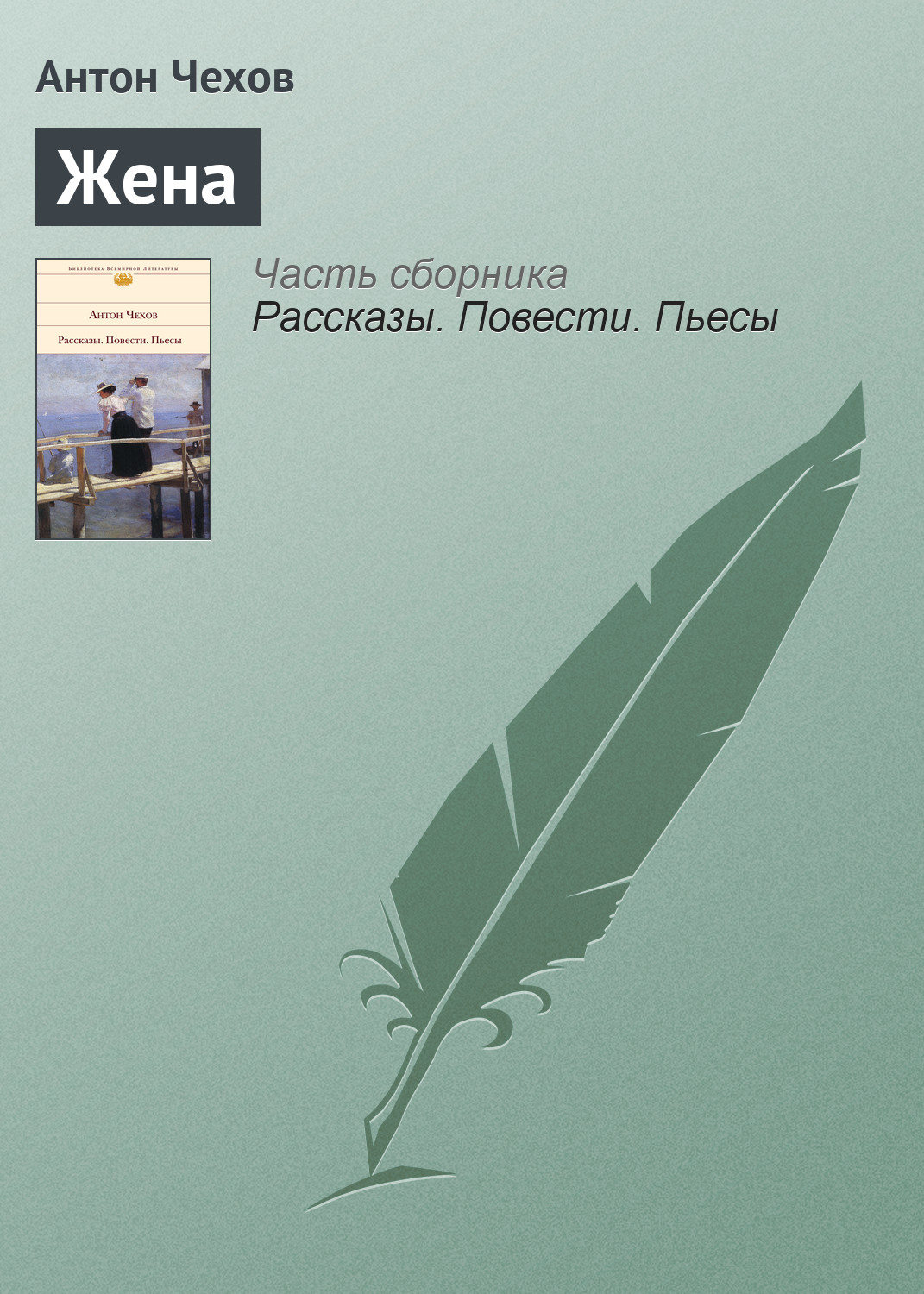 Обложка книги «Жена»