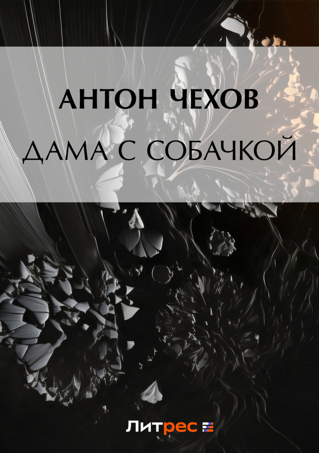 Обложка книги «Дама с собачкой»