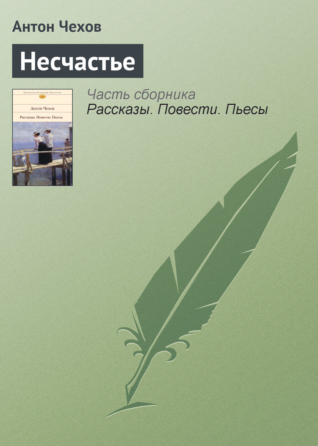 Обложка книги «Несчастье»